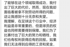 澧县为什么选择专业追讨公司来处理您的债务纠纷？